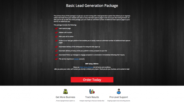 Landing Page Example 1